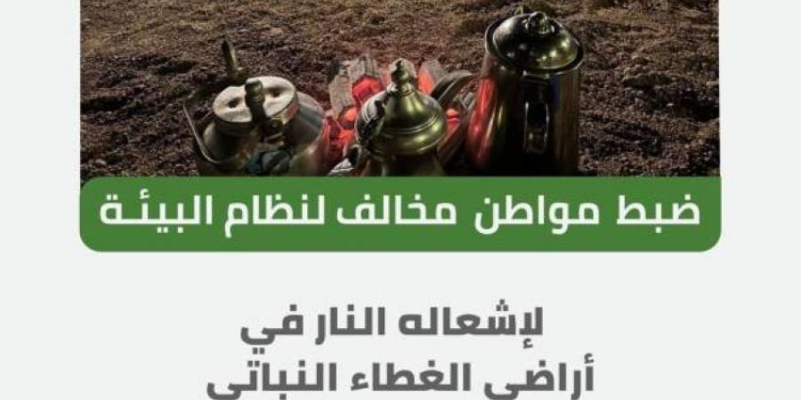 ضبط مواطن مخالف لنظام البيئة أشعل نارًا في غطاء نباتي بحائل - ستاد العرب